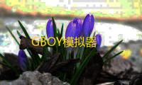GBOY模拟器